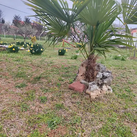 Rola - Smestaj * パラチン