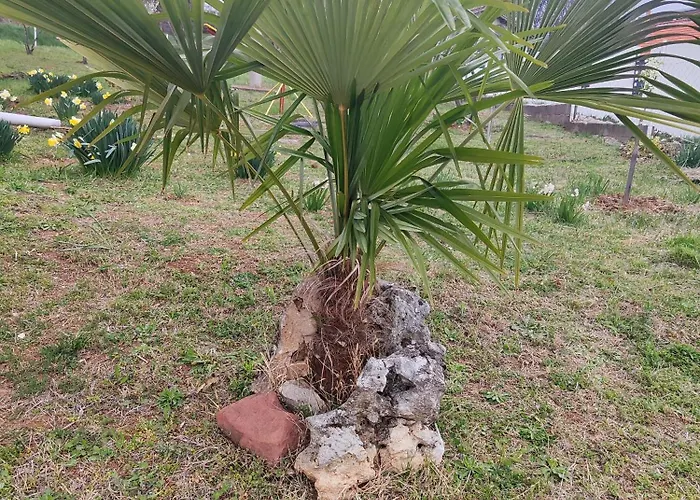 Rola - Smestaj * Paraćin