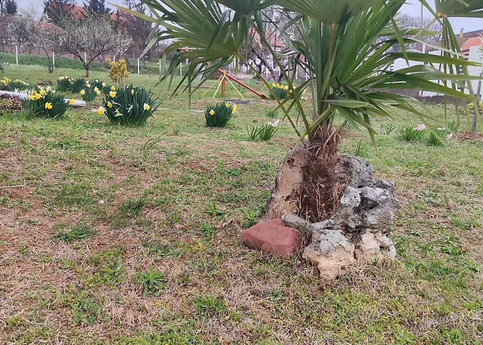 Rola - Smestaj * Paraćin